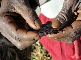 UN Study Finds More Women Face Genital Mutilation Than Earlier Estimated UN Study Finds More Women Face Genital Mutilation Than Earlier Estimated