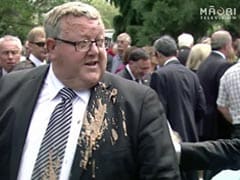 New Zealand Man Pleads Guilty To Throwing Goop At Lawmaker