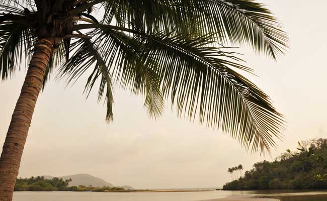 British Tourist Allegedly Raped Near Beach In Goa, Robbed By Attacker