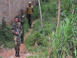 Panic As Lions On The Loose In Kenyan Capital Panic As Lions On The Loose In Kenyan Capital