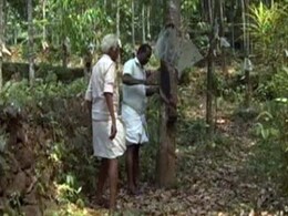 Ahead Of Elections, Kerala's Rubber Crisis Turns Political Ahead Of Elections, Kerala's Rubber Crisis Turns Political