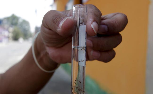 Bharat Biotech Says Working On 2 Possible Zika Vaccines