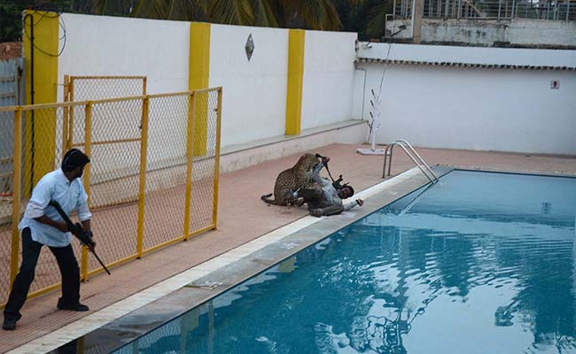 After Leopard Alert, More Than 100 Bengaluru Schools Are Closed Today