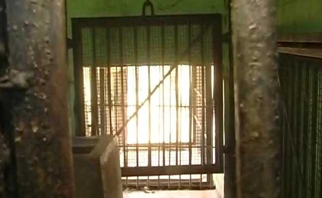 Captured Leopard Escapes From Enclosure In Bengaluru