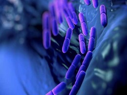 New Vegetation Map Unveils Changes To Earth's Ecosystems New Vegetation Map Unveils Changes To Earth's Ecosystems