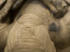 The Surprising Thing Ancient Mummies Tell Us About What To Eat