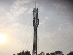 Supreme Court Scrutinises Impact Of Mobile Towers, Seeks Centre's Report