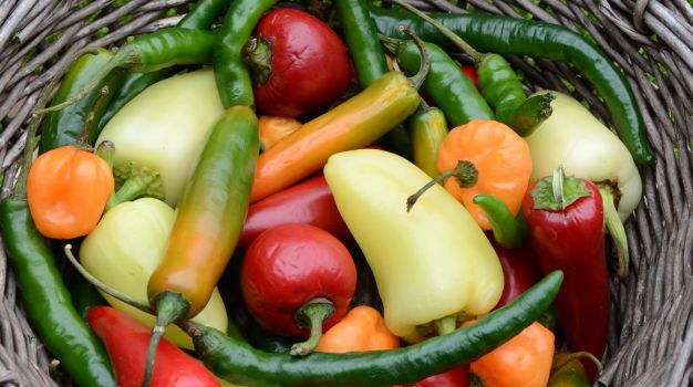 So Many Peppers, So Many Flavors - And So Many Potential Dishes