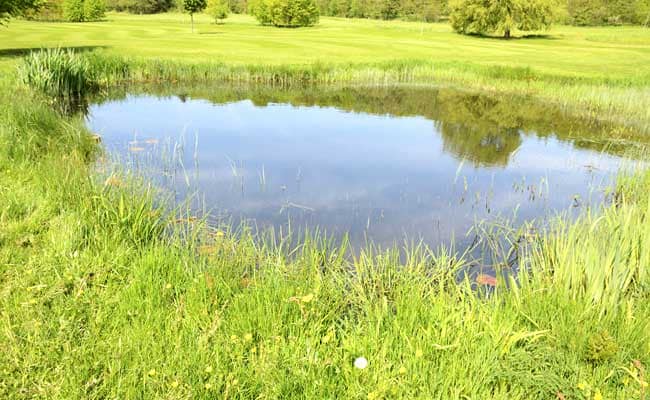 Small Ponds Emit Huge Share Of Greenhouse Gases: Study