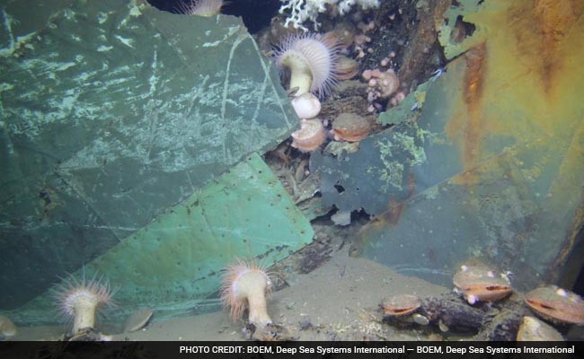 Amazing New Video Shows Deepwater Shipwrecks Corroded By BP Oil Spill