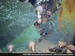 Amazing New Video Shows Deepwater Shipwrecks Corroded By BP Oil Spill Amazing New Video Shows Deepwater Shipwrecks Corroded By BP Oil Spill