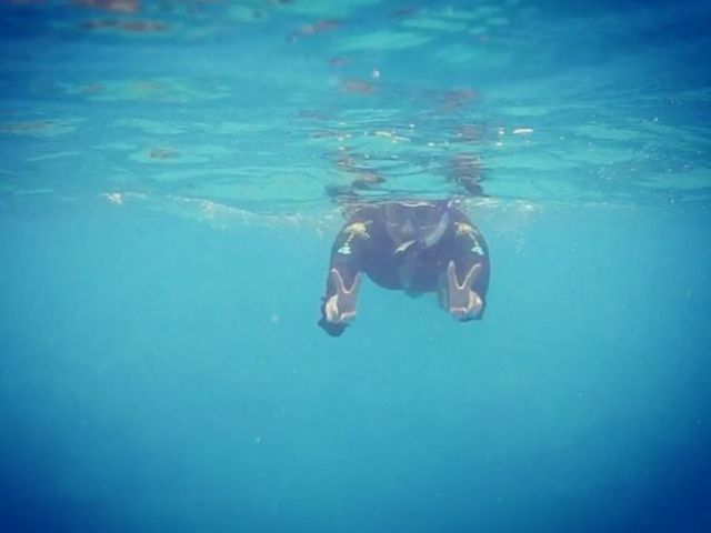 <I>Into the Blue</i>: See Sonakshi Sinha's Stunning Underwater Selfies