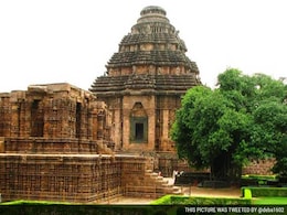 Tourists Attacked By Honey Bees In Sun Temple At Konark Tourists Attacked By Honey Bees In Sun Temple At Konark