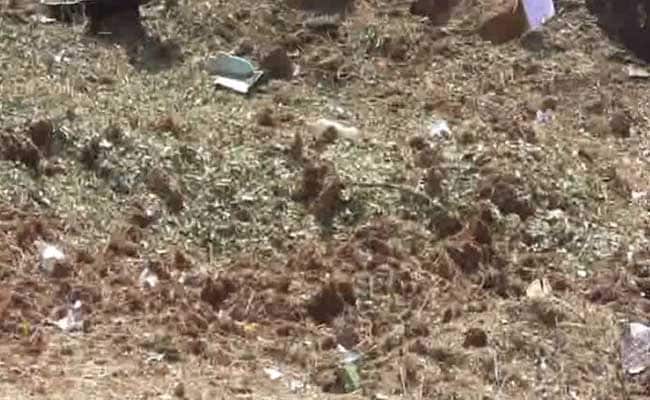 Tamil Nadu Man Killed By 'Meteorite' May Be First In 200 Years