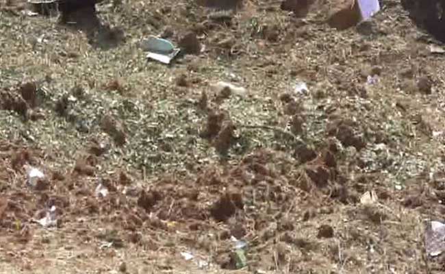 A Meteorite Hit Tamil Nadu Man, Says Chief Minister Jayalalithaa