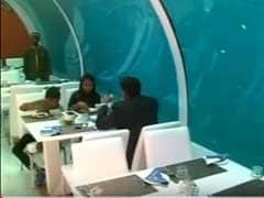 India Gets Its First Underwater Restaurant in Ahmedabad