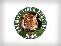 Royal Bengal Tiger Found Dead in the Valmini Tiger Reserve
