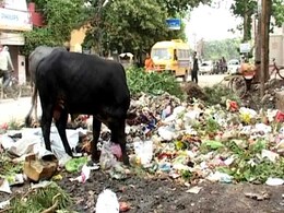 बनारस एक बार फिर सबसे गंदे शहरों की सूची में शुमार बनारस एक बार फिर सबसे गंदे शहरों की सूची में शुमार