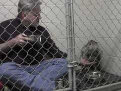 Viral: Vet Comforts Rescue Dog by Eating Breakfast in Cage With Her