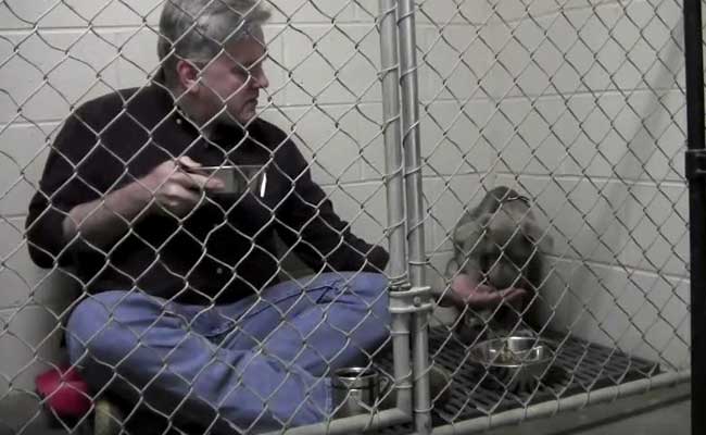 Viral: Vet Comforts Rescue Dog by Eating Breakfast in Cage With Her