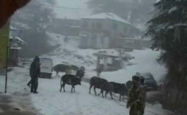 उत्तर भारत के कई इलाकों में बदला मौसम; पहाड़ों में बर्फ़बारी, मैदानी इलाकों में फिर पारा गिरा