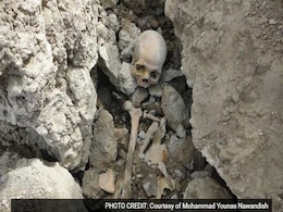 A Mysterious Skull Adds New Twist To Old Legend Of Kabul's 'Cruel King' A Mysterious Skull Adds New Twist To Old Legend Of Kabul's 'Cruel King'
