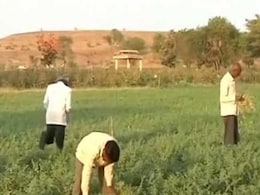 This Crowd-Funded Scheme Could Curb Farmer Suicides In Maharashtra This Crowd-Funded Scheme Could Curb Farmer Suicides In Maharashtra