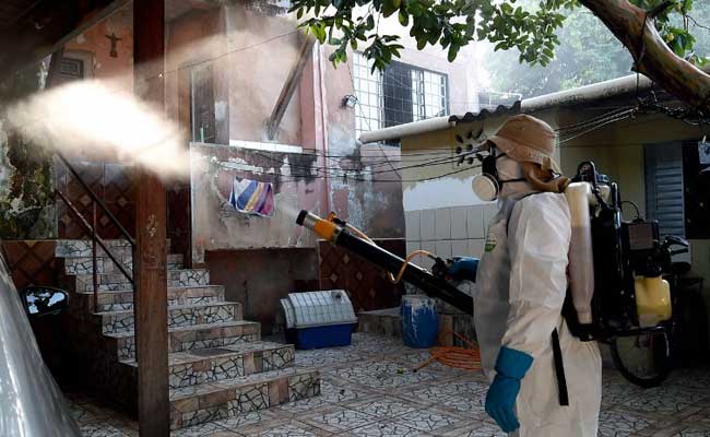 Zika Virus Cases Drop In Brazil: WHO