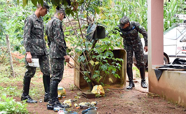 Brazil Military Fight Mosquitoes, Flower Pot To Flower Pot