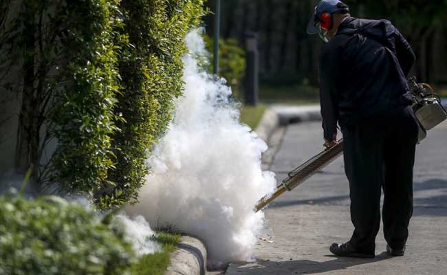 World Health Organization Says Time For Europe To Prepare Zika Defences