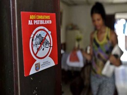 Women In Zika Countries Should Breastfeed Their Babies: UN Women In Zika Countries Should Breastfeed Their Babies: UN