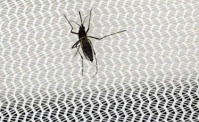 No Zika Virus Case Reported In India: Union Health Minister JP Nadda