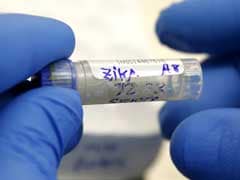 2 Experimental Zika Vaccines Show Promise In Monkey Studies