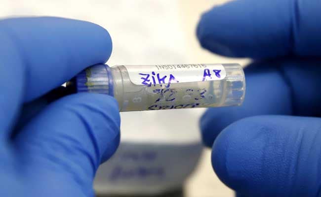 2 Experimental Zika Vaccines Show Promise In Monkey Studies