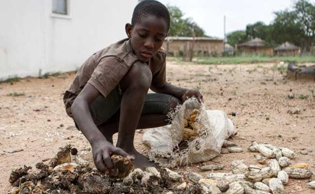 Surrounded By Diamonds, Villagers Go Hungry In Drought-Hit Zimbabwe