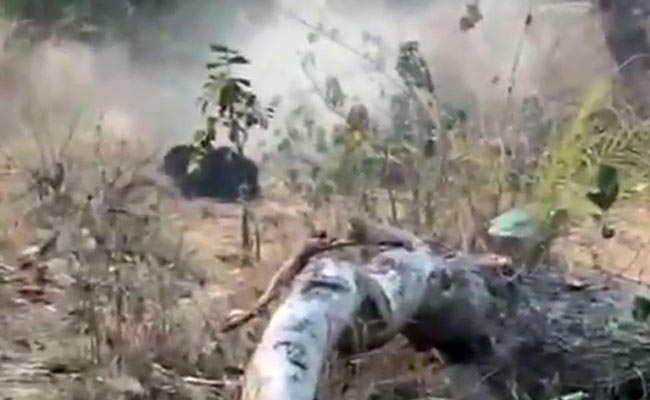 छत्तीसगढ़ : भालू को गोली मारने की घटना की जांच शुरू