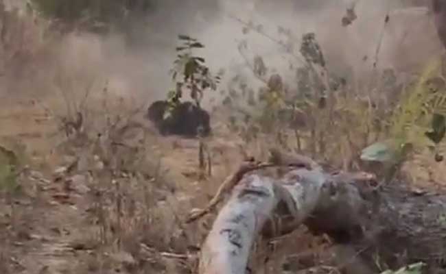 100 Bullets Used To Kill Chhattisgarh Bear, Video Released
