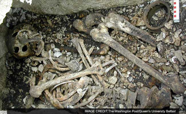 A Man's Discovery Of Bones Under His Pub Could Forever Change What We Know About The Irish