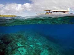 Australia Scientists Alarmed At New Great Barrier Reef Coral Bleaching