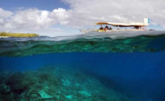 Australia Scientists Alarmed At New Great Barrier Reef Coral Bleaching