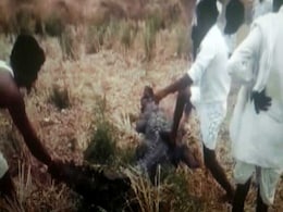 कर्नाटक : यादगीर ज़िले में मगरमच्छ और मछलियों के मरने की खबर कर्नाटक : यादगीर ज़िले में मगरमच्छ और मछलियों के मरने की खबर