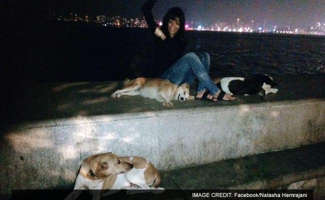 Mumbai's 'Vigilante Dog Squad' is All Kinds of Awesome