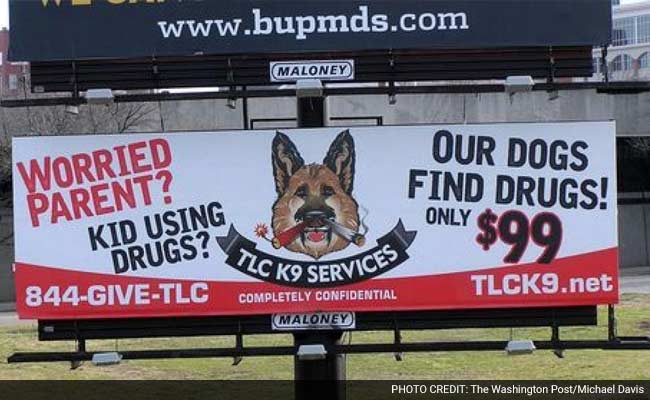 Parents Are Hiring This Man To Search Their Kids' Rooms With A Drug-Sniffing Dog