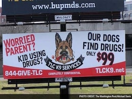 Parents Are Hiring This Man To Search Their Kids' Rooms With A Drug-Sniffing Dog Parents Are Hiring This Man To Search Their Kids' Rooms With A Drug-Sniffing Dog