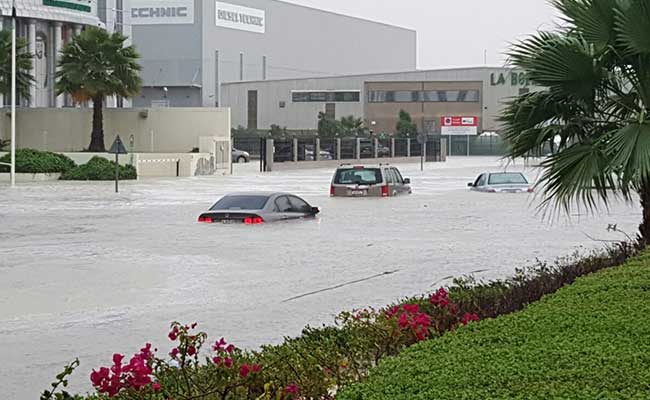 Downpour Shuts UAE Schools, Disrupts Flights