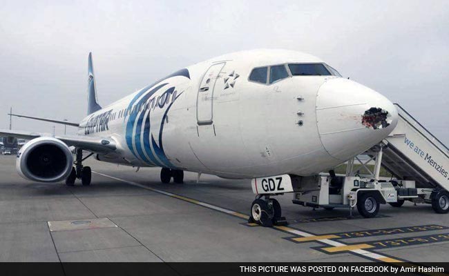 Startling Pics Show What Happens to a Plane After a Bird Hit