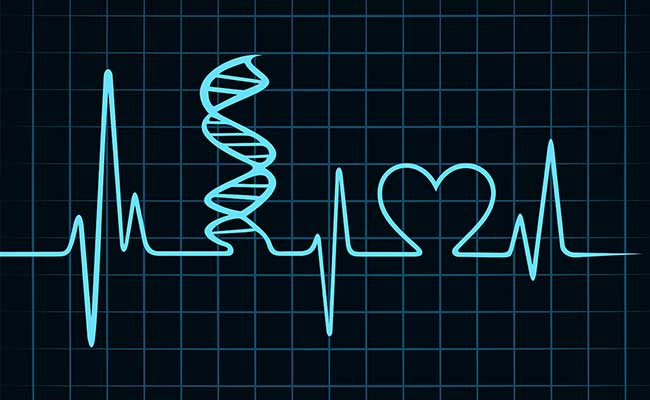 Switching Off A Gene May Reduce Heart Attack Risk: Study