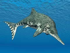 The Ichthyosaur Swam The Seas For 150 Million Years. Then The Climate Changed