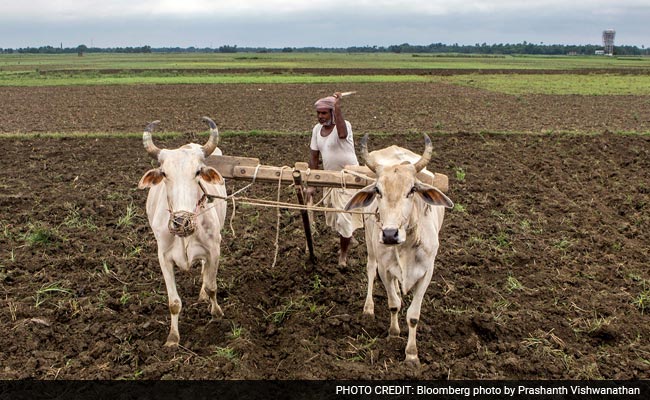 Watch Farmer Incomes To See If Modi Is Really Transforming India