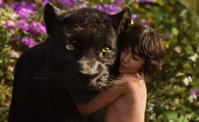 Twitter Loves New <i>Jungle Jungle Baat Chali Hai</i> Already. So Will You
